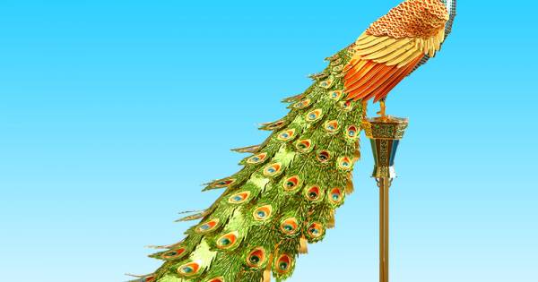 Colourful Peacock 七彩孔雀